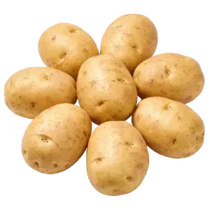 Patatas de huerta — cultivo tradicional 100 % natural Patatas nuevas de cultivo tradicional recolectadas a mano en la huerta Rejano, Palma del Río