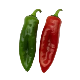 Pimientos de huerta Rejano — frescos de temporada Pimientos rojos y verdes frescos de temporada, recolectados en la huerta Rejano de Palma del Río